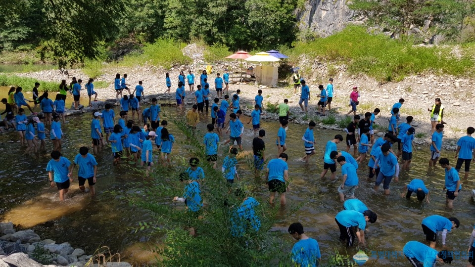 28aa8155d949351e03c9fa3b68626d49_1778572308_1905.jpg